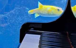 WhatsApp Image 2025-03-20 at 21.48.00 (5)